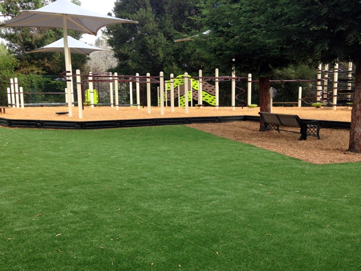 Synthetic Turf Supplier Crooked Lake Park, Florida Playground Flooring, Backyard Design