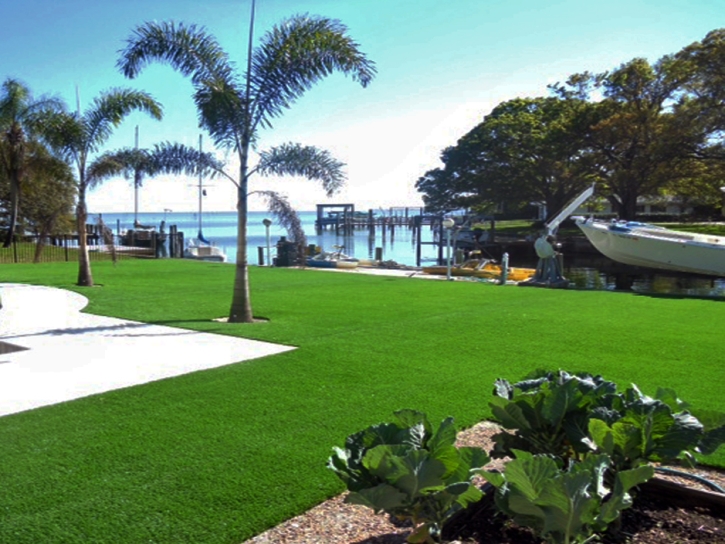 Synthetic Turf Supplier Goodland, Florida City Landscape, Natural Swimming Pools