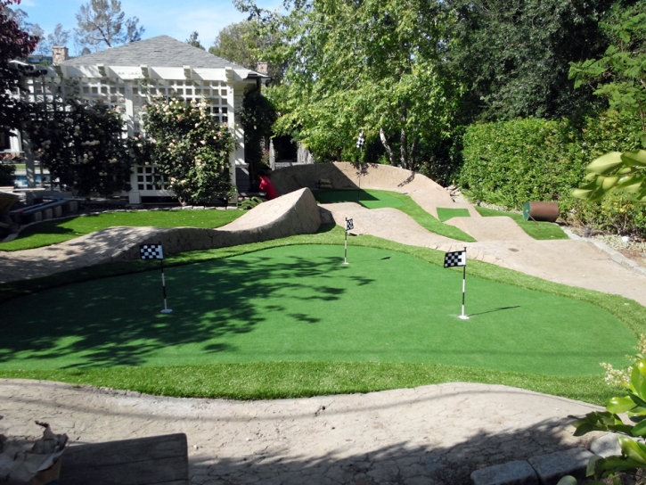 Synthetic Turf Supplier Inwood, Florida Backyard Putting Green, Beautiful Backyards