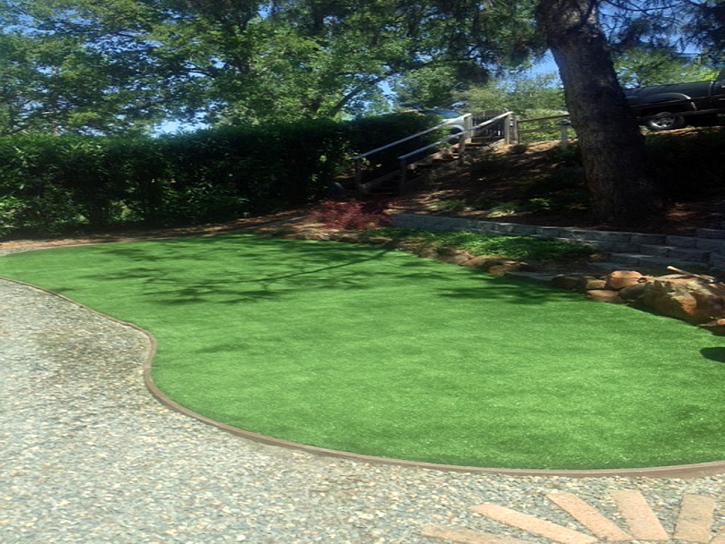 Synthetic Turf Supplier Kendale Lakes, Florida Landscape Design, Backyard Designs