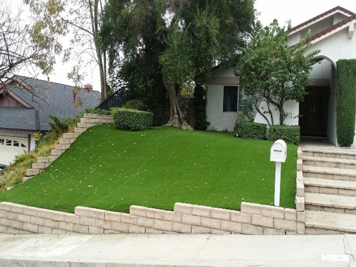 Synthetic Turf Supplier Lake Hamilton, Florida Rooftop, Landscaping Ideas For Front Yard