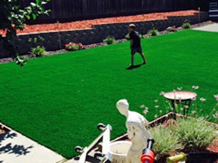 Synthetic Turf Supplier Lemon Grove, Florida Landscaping Business, Backyard