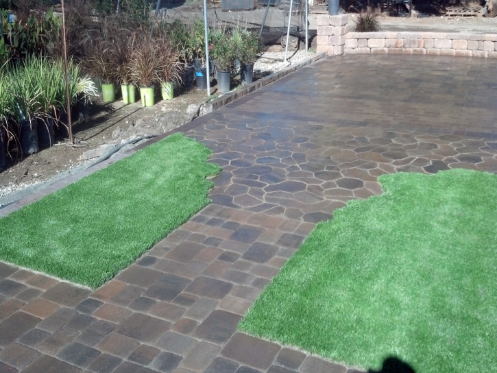 Synthetic Turf Supplier Palm Beach Shores, Florida Roof Top, Backyard Garden Ideas