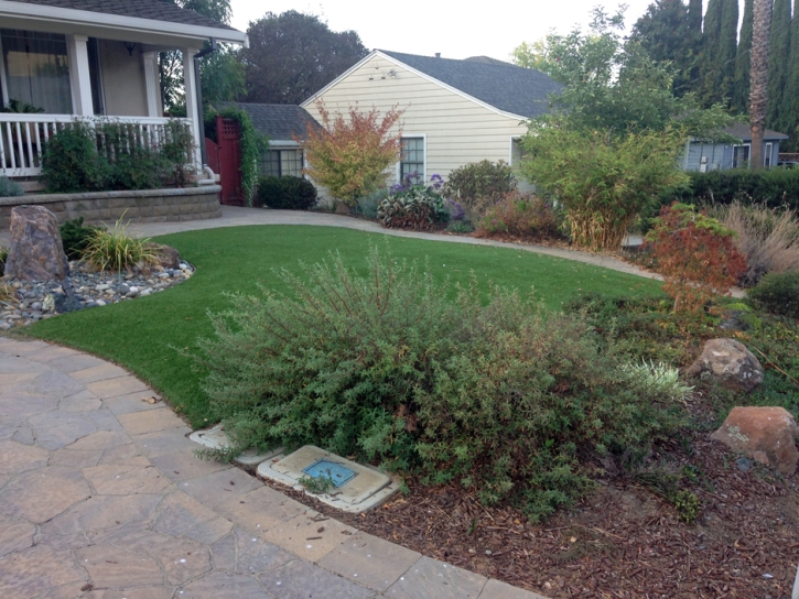 Synthetic Turf Supplier Sea Ranch Lakes, Florida Lawn And Garden, Front Yard Landscape Ideas