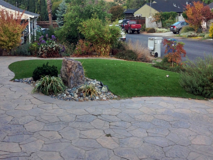 Synthetic Turf Tamiami, Florida Landscape Photos, Landscaping Ideas For Front Yard