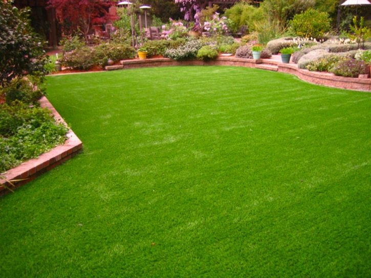 Turf Grass Cocoa Beach, Florida Landscape Rock, Backyards