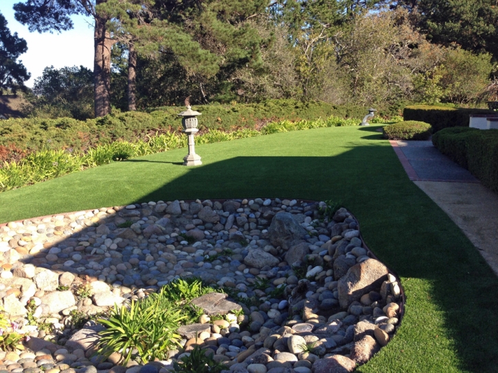 Turf Grass Fisher Island, Florida Dog Grass, Backyard Landscaping