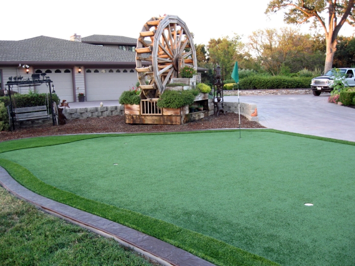 Turf Grass Frostproof, Florida Putting Green Grass, Landscaping Ideas For Front Yard