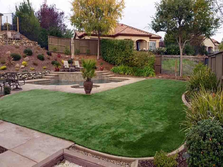 Turf Grass Lake Park, Florida Home And Garden, Backyard Landscape Ideas