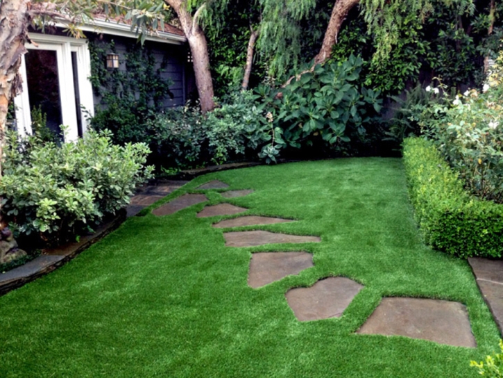 Turf Grass Princeton, Florida Lawn And Garden, Backyard Landscaping Ideas