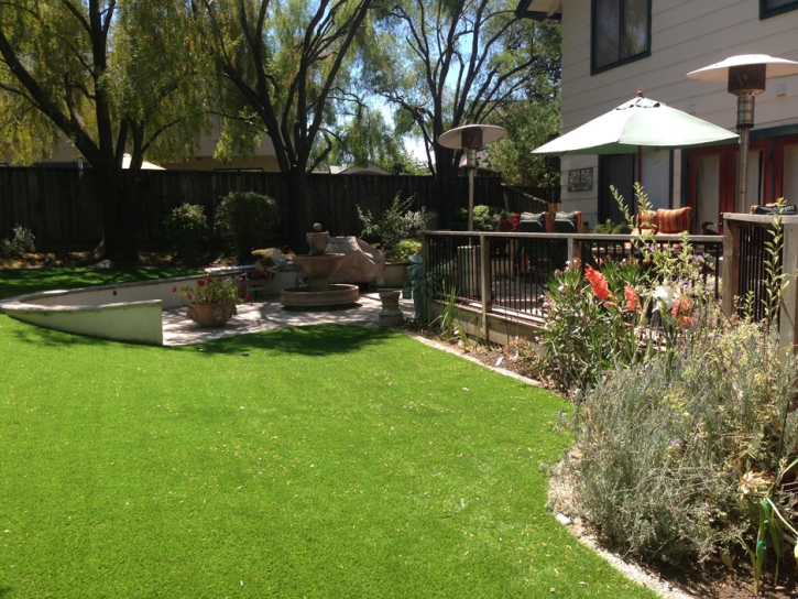 Turf Grass Schall Circle, Florida Roof Top, Backyard Designs