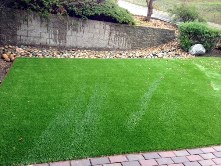 Turf Grass West Miami, Florida Pet Turf, Backyard Design